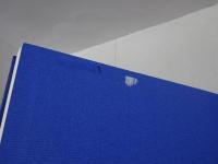 魚類図鑑　改訂版　南日本の沿岸魚