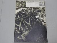 カメの本　カメカメフェスタ 1st　1996