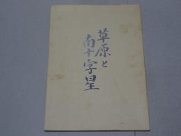 草原と南十字星