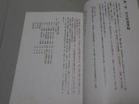 草原と南十字星