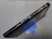 写真集 連合艦隊浮上す 増補・新装版　勇戦・激闘の全記録