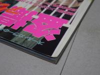 盗撮秘写アクション　COUPLES 8月増刊号