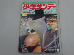 週刊　　少年サンデー　1969　31号