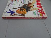 週刊　少年サンデー　1970　24号
