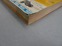 週刊　少年マガジン　1969　29号