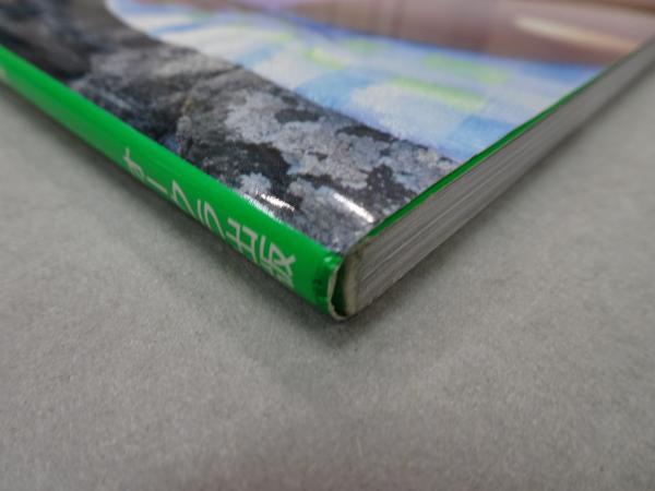 写真集 永倉れい マスカット 初版(井上一真) / 古本、中古本、古