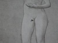 日本裸體美術全集　第四.五巻