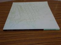 湖北の絵図　長浜町絵図の世界