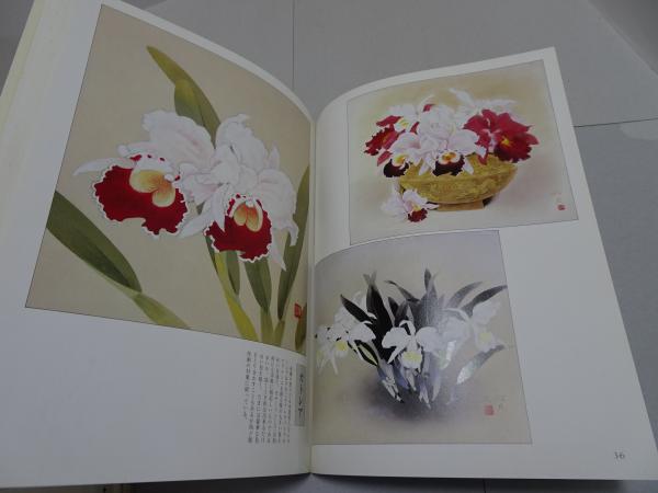 日本画の描法 全4冊(大島祥丘) / 古本、中古本、古書籍の通販は