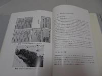 福島関所　長野県史跡福島関所跡整備事業にともなう調査報告書