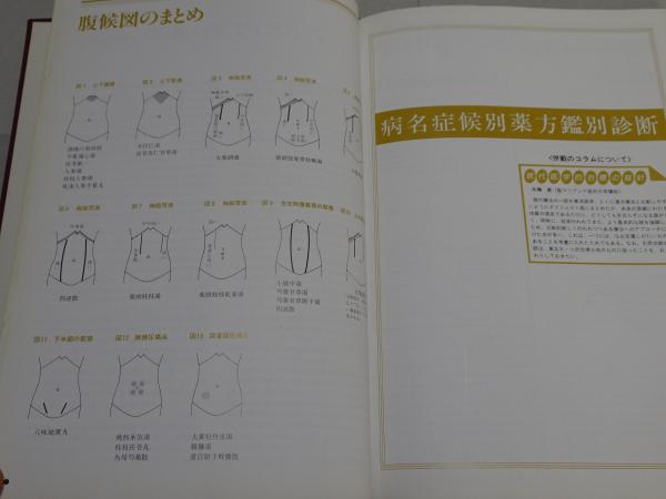 漢方処方類方鑑別便覧 - ノースブックセンター