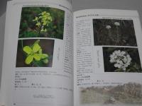 モンゴル国有用植物図鑑