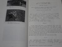 マングローブに関する調査研究報告書