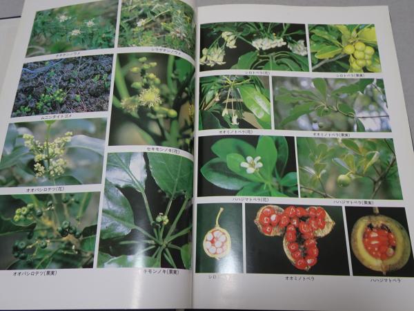 小笠原諸島自然環境現況調査報告書 小笠原の固有植物と植生(小野幹雄