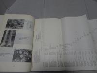 琉球列島の自然とその保護に関する基礎的研究 （１）　1973年度研究報告