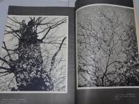 写真雑誌　カメラ　CAMERA　第20巻第3号