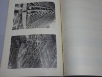 重要文化財高田寺本堂修理工事報告書