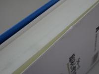 ラルース　臨床心理学事典
