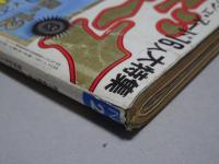 週刊 プレイボーイ　昭和56年5月12日　NO.20