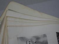 遺伝　生物の科学　1965年　1-6・9-12月　計10冊