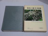 原色日本樹木図鑑