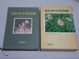 原色野草観察検索図鑑