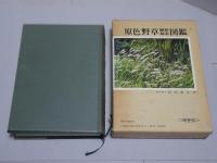原色野草観察検索図鑑