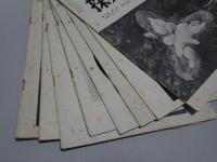 採集と飼育　生物の知識・観察と実験　昭和27年3月～29年5月の内19冊