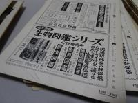 採集と飼育　生物の知識・観察と実験　昭和31年1月～33年12月 計36冊