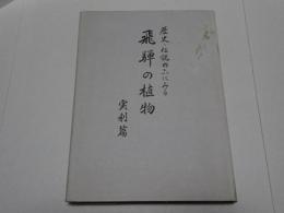 歴史・伝説の上にみる　飛騨の植物　実利篇