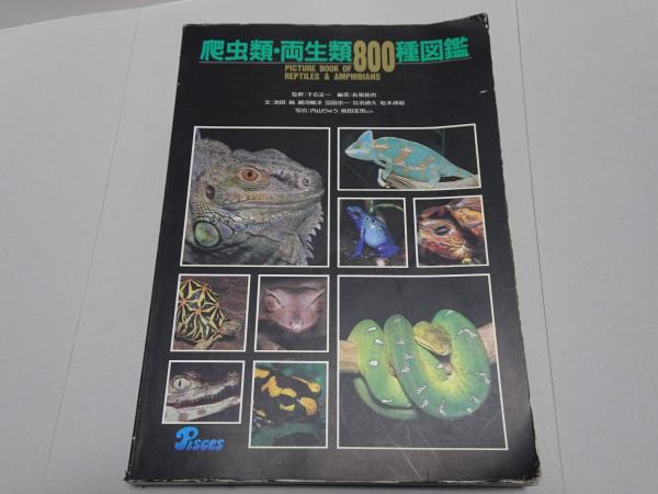 爬虫類・両生類800種図鑑 / 安藤書房 錦城店 / 古本、中古本、古