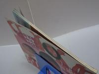 フルーツパフェ 性白書