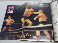 ゴング　1975年 5月号　プロレス・ボクシング・キック