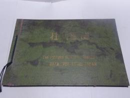牡丹図譜　