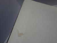 現代日本写真全集　２　土門拳作品集
