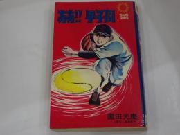 ああ！！甲子園　サンコミックス