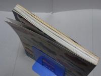 モーターファン 1978 4月臨時増刊 '78 世界オートレビュウ 