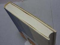 宝慶記　道元の入宋求法ノート　大東名著選16