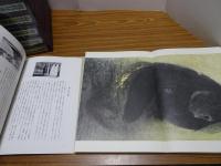 現代日本絵巻全集　全18巻