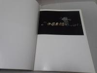 野田弘志画集　1970-1985