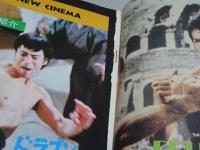 不滅の英雄 ブルース・リー　コミックＶＡＮ増刊