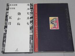 モルヒネも効かぬ五月　荒木経惟写真集