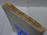針葉樹　第三號