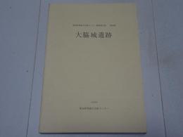 大脇城遺跡　愛知県埋蔵文化財センター調査報告書　第86集