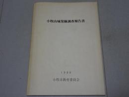 小牧山城発掘調査報告書