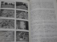 佐柿国吉城今昔物語 450年の時を超えて（講演録） 平成13年度美浜町生涯学習講座「ふるさとむかしよもやま話」