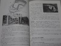 伊勢北畠氏と中世都市・多気