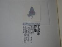 芒彩集　