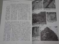 城郭史研究　2011年 31号