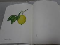 私の植物図鑑